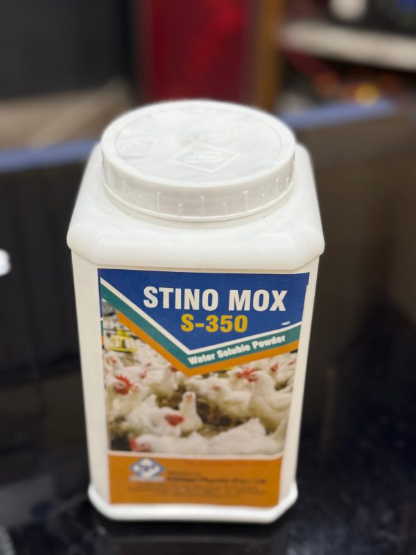 STINO MOX S-350 (1-KG) - Image 2