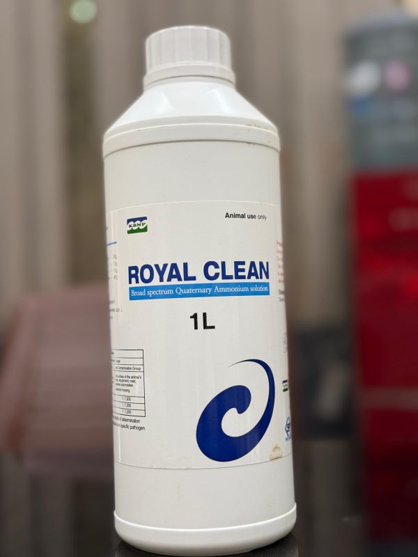 ROYAL CLEAN	(1-L)