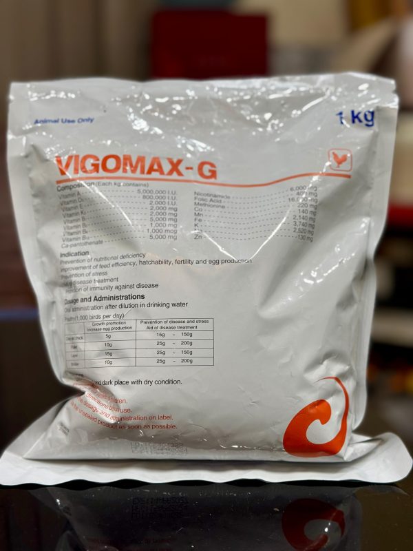 VIGOMAX (1-Kg) - Image 2
