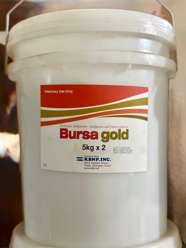 BURSAGOLD KBNP (1-Kg)(5-Kg)